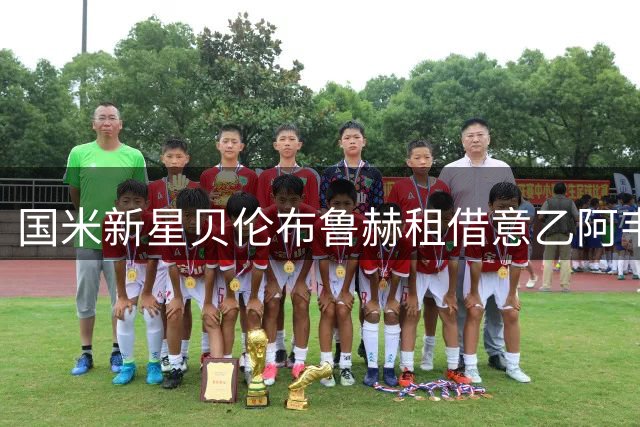 国米新星贝伦布鲁赫租借意乙阿韦利诺 合同设双重选项