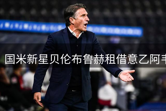 国米新星贝伦布鲁赫租借意乙阿韦利诺 合同设双重选项